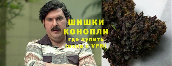сатива Осташков
