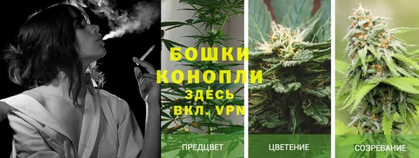 apvp Остров
