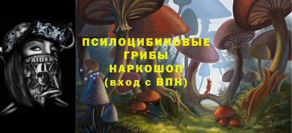 apvp Остров