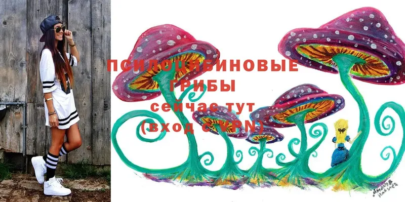 сайты даркнета как зайти  Агрыз  Псилоцибиновые грибы Magic Shrooms 