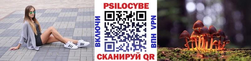 Галлюциногенные грибы Psilocybe  MEGA зеркало  Агрыз  наркошоп 