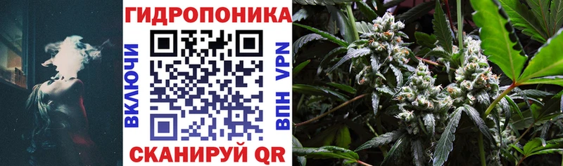 Конопля VHQ  mega вход  Агрыз  наркота 